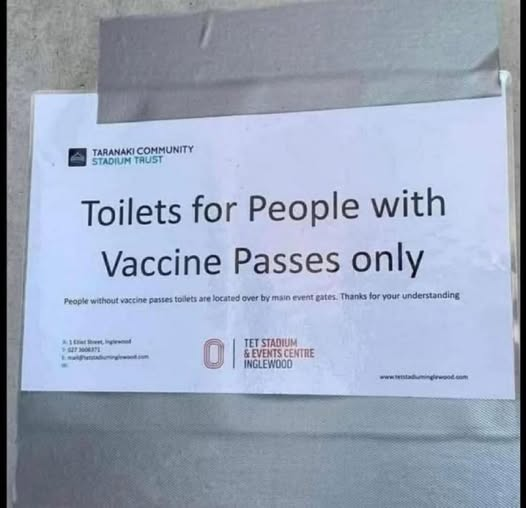 Dolly van den Berg tweet media