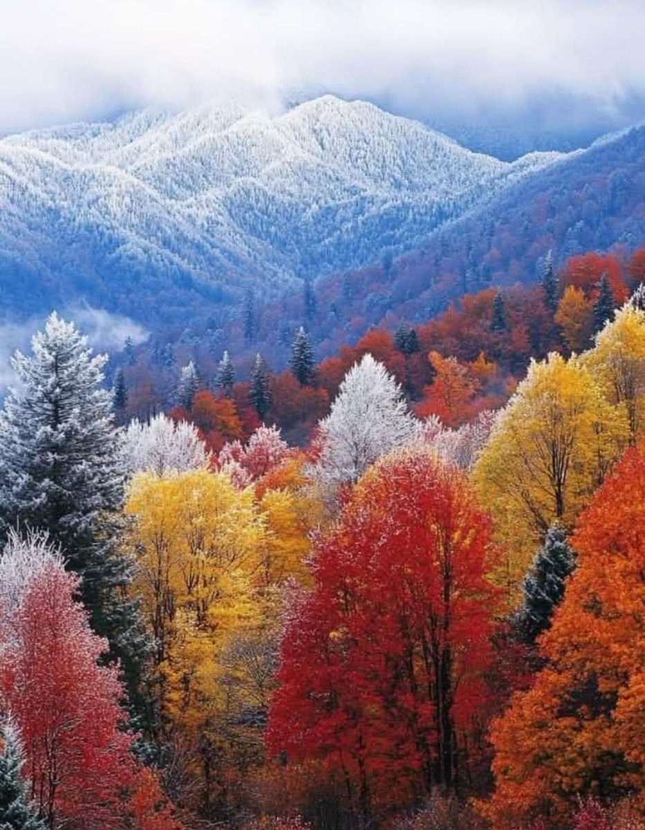 Great Smoky Mountains 🇺🇲