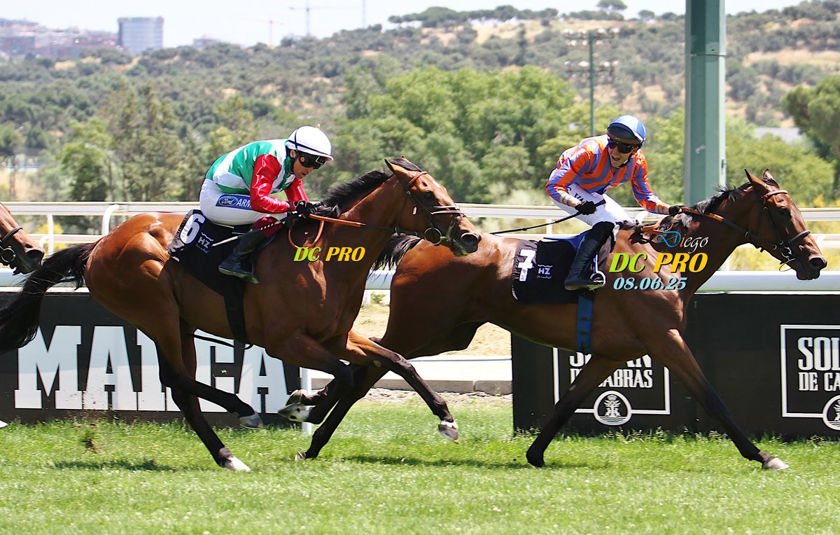 DC PRO 🐎 (@revistadcpro) on Twitter photo Un gran Estraunza (cuadra Becares) se llevó hoy el Derby <a href="/HipodromoMadrid/">Hipódromo de La Zarzuela</a> dejando 2º a El Salor (Marqués de Miraflores) que también completó un Villapadierna brillante. Felicitación especial a Christian Delcher por su doblete como preparador en este GP🏆 📸 revistadcpro@gmail.com Un gran Estraunza (cuadra Becares) se llevó hoy el Derby <a href="/HipodromoMadrid/">Hipódromo de La Zarzuela</a> dejando 2º a El Salor (Marqués de Miraflores) que también completó un Villapadierna brillante. Felicitación especial a Christian Delcher por su doblete como preparador en este GP🏆 📸 revistadcpro@gmail.com