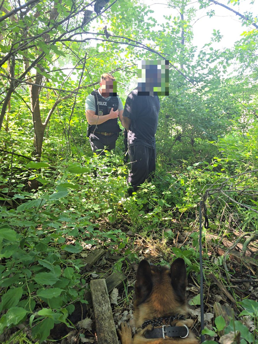 PSD Tilt (and his handler) leveraged technology, experience and training to identify, track and apprehend a subject wanted for multiple violent crimes in Lincoln yesterday with the assistance of LPD. Excellent work shown by this very effective team <a href="/NSPSpecialOps/">NSP Special Operations</a>