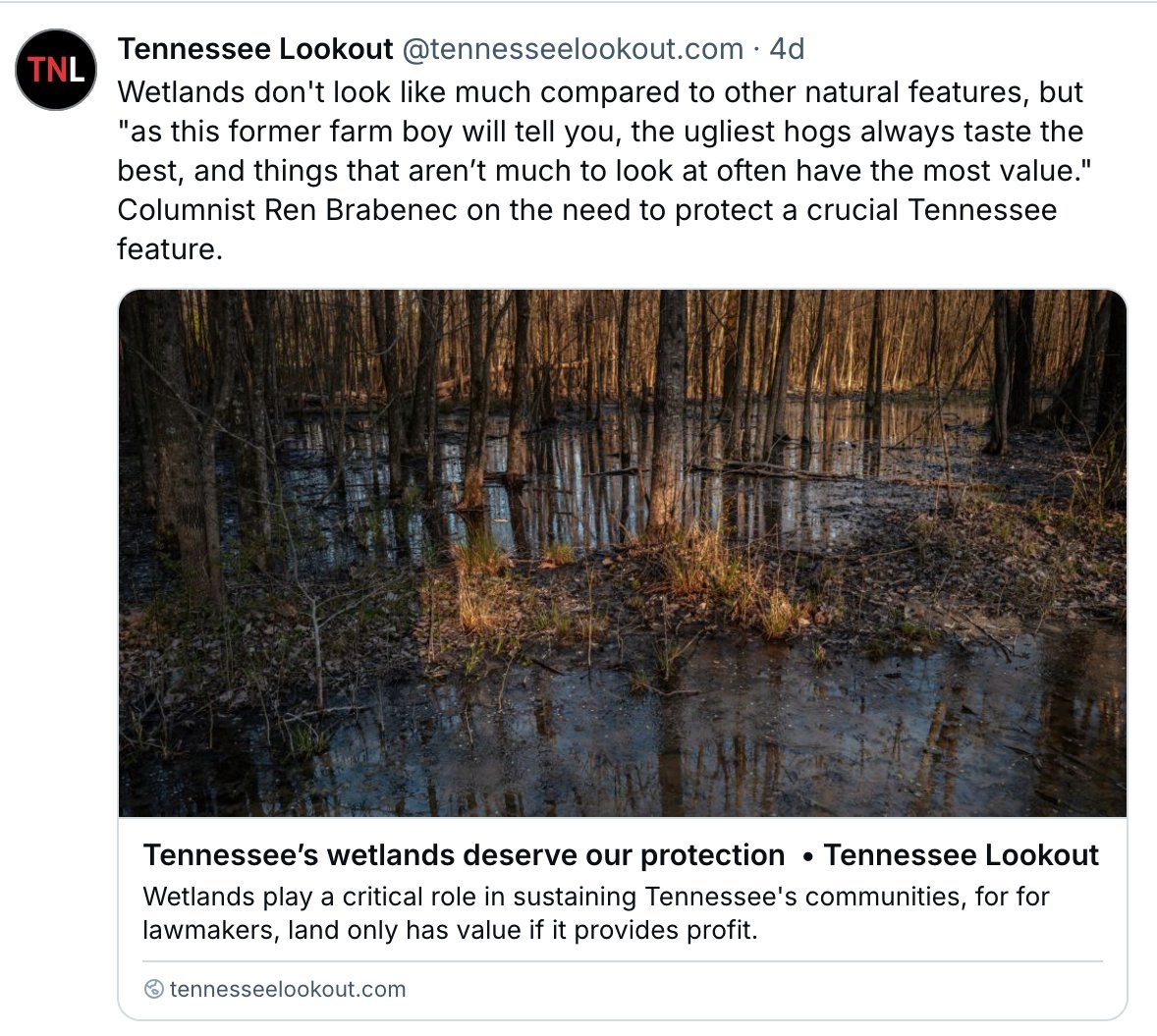 RenBrabenec's tweet image. In case you missed it, my latest for the @TNLookout reports on one of the most undervalued environmental issues in the Volunteer State: wetlands regulation. tennesseelookout.com/2025/04/14/ten…