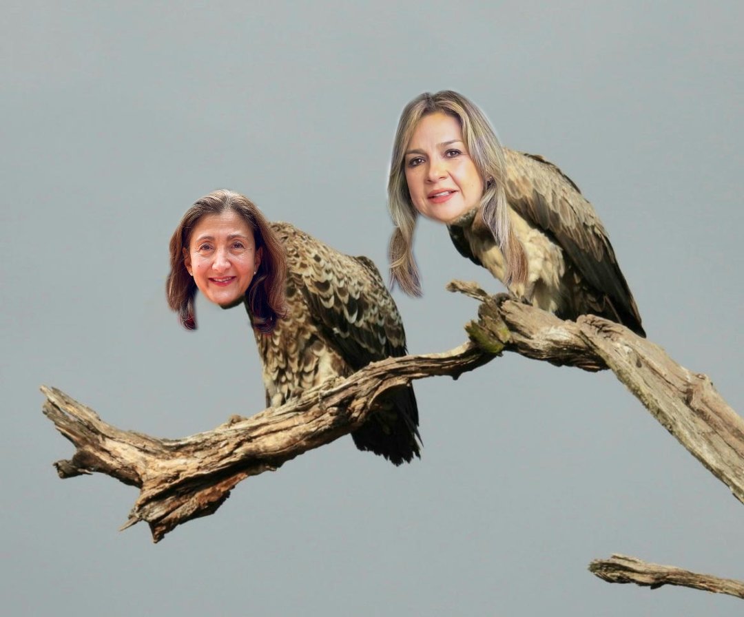 Pelicolombianas tweet picture