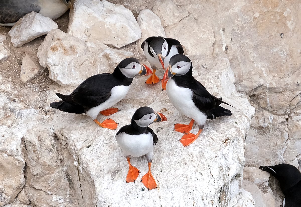 richard ponter tweet media