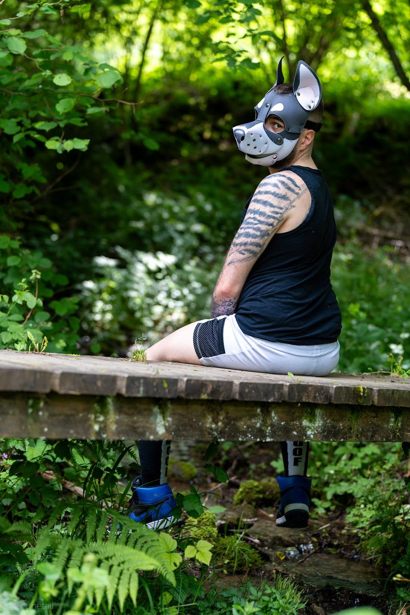 StormyPupCat's tweet image. puppy loves exploring the woods! we found a cute lil bridge!
📷 @Counetail