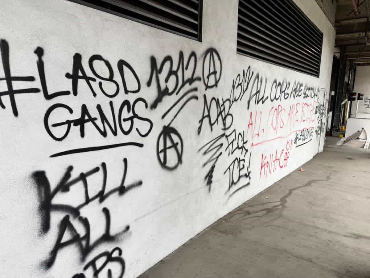 Imagine going to a foreign country, attacking their law-enforcement, waving our flag, burning their city and spray painting on their walls, death to their country??