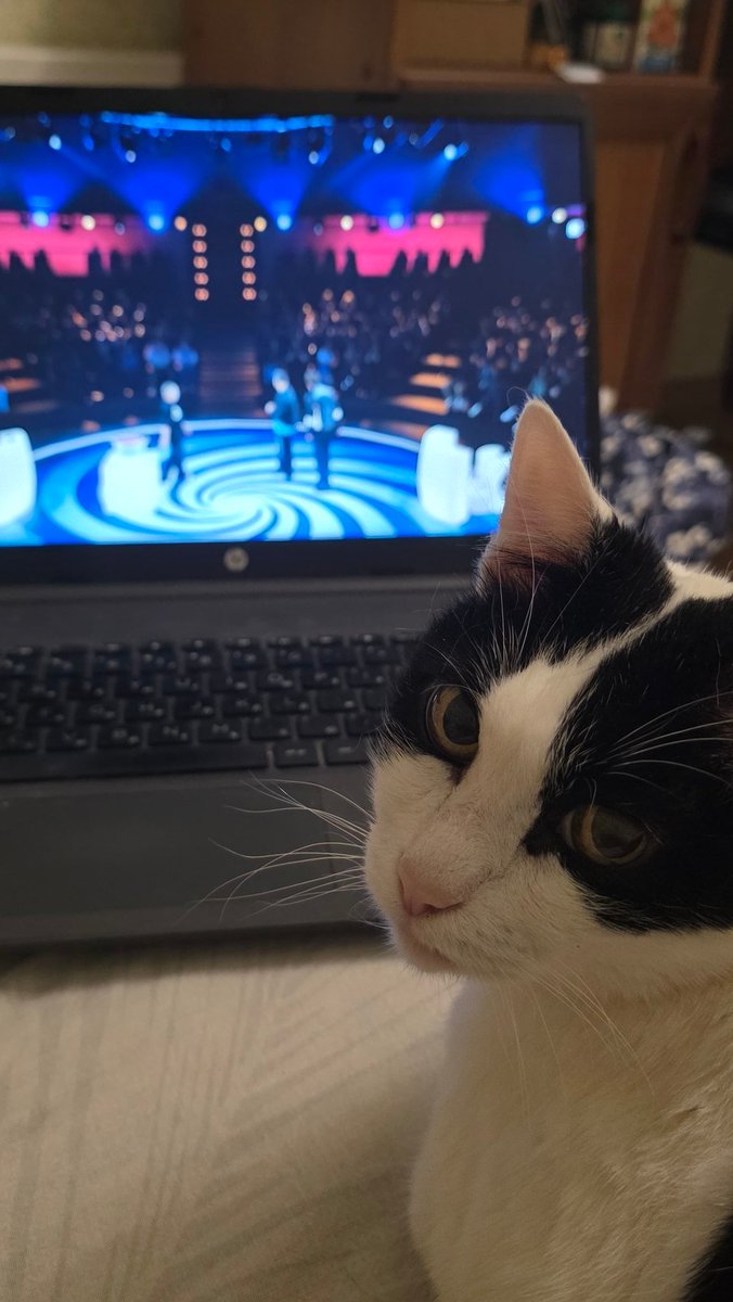 С каким лицом она всё это смотрела, я не могу.