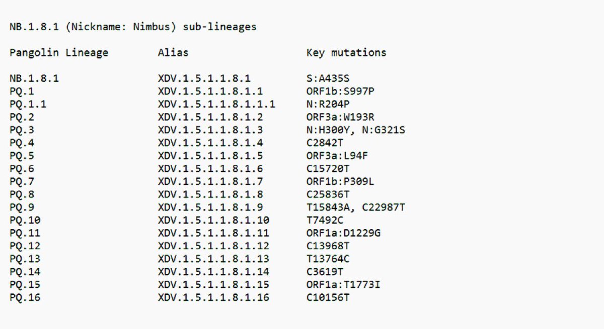 outbreakupdates's tweet image. New SARS-CoV-2 variant Nimbus NB.1.8.1 now has 17+ sub-lineages