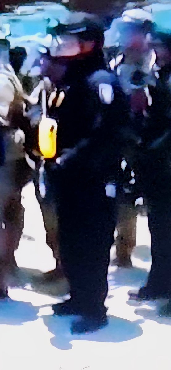 My new hero. The fat gal on the end. When the 💩went down. She was leading from the Front firing away.