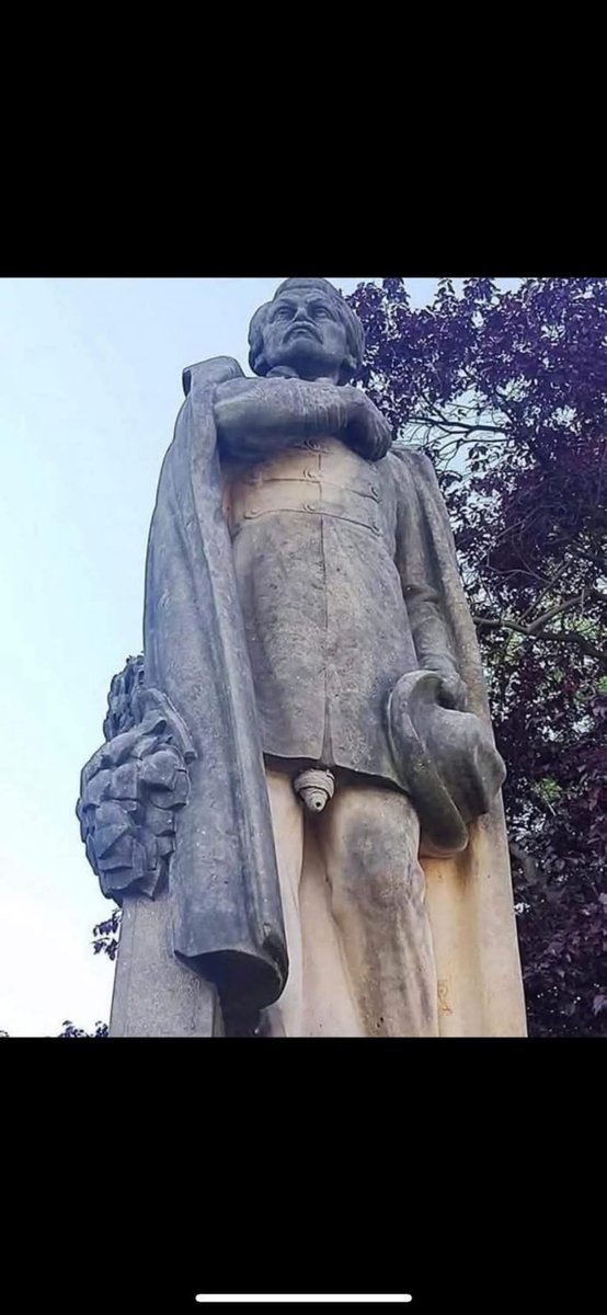 Can you spot the wasps nest?