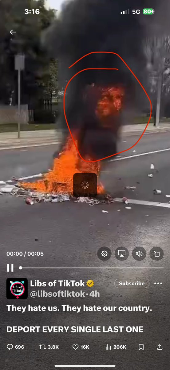 72SieteDos72's tweet photo. @libsoftiktok Burning the American flag is 100% demonic https://t.co/7V7gJH5llk