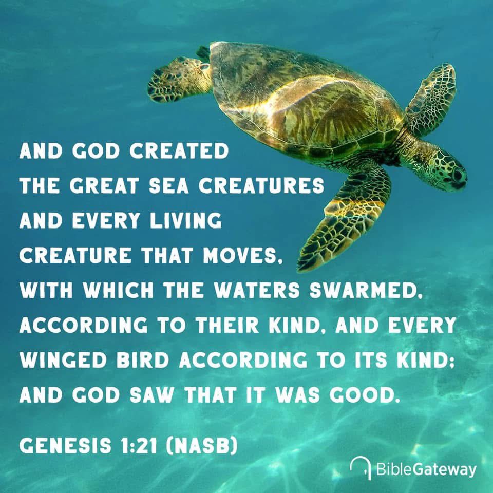 Happy World Oceans Day! 😃