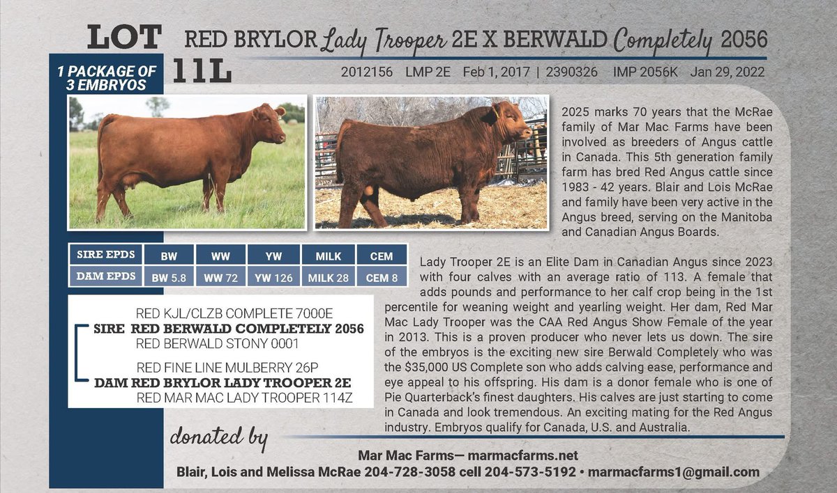 Check out this lot in the legacy Canadian Angus sale. Thursday June 12 6:30 pm. Dlms.ca