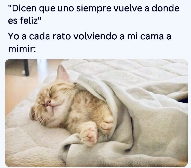 Feliz y bendecido Dormingo 😉, pásenlo genial amig@s 🥰youtu.be/Ant86upwJKw?si….