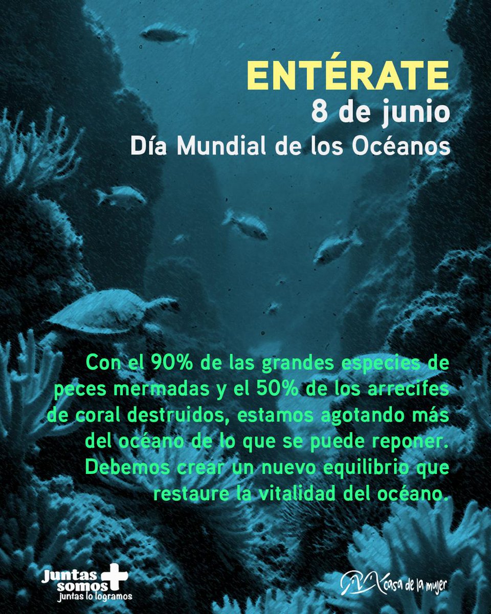 #Entérate| 8 de junio Día Mundial de los Océanos. 
Los océanos son el principal pulmón del planeta,  generan gran parte del oxígen y albergan la mayor parte de la biodiversidad de la Tierra. Es responsabilidad de todas y todos cuidar nuestros océanos.