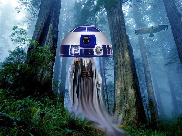 MarieD_6's tweet photo. @feedbackghost @KingImpulse "the druids" https://t.co/8axzdSD84A