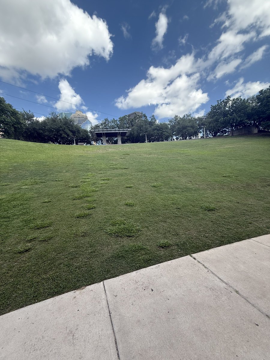 SamLeblue tweet media