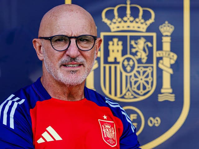 - Pone alineaciones sin sentido 
- Sigue usando a Pedri de 10 en 2025 
- Sus cambios no los entiende nadie 
- Olmo, Fermín y Cubarsi sin minutos 
- Es Calvo 

Ni el mismo sabe cómo ha ganado la Eurocopa.