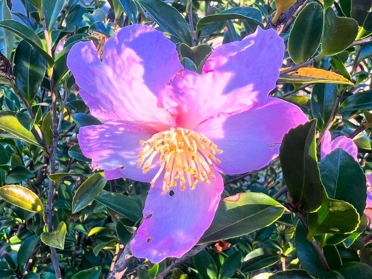 Happy Monday #bloomscrolling