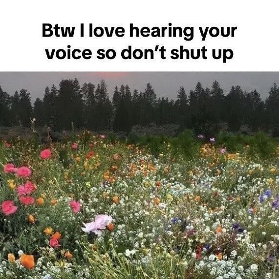 softheavens's tweet image. 