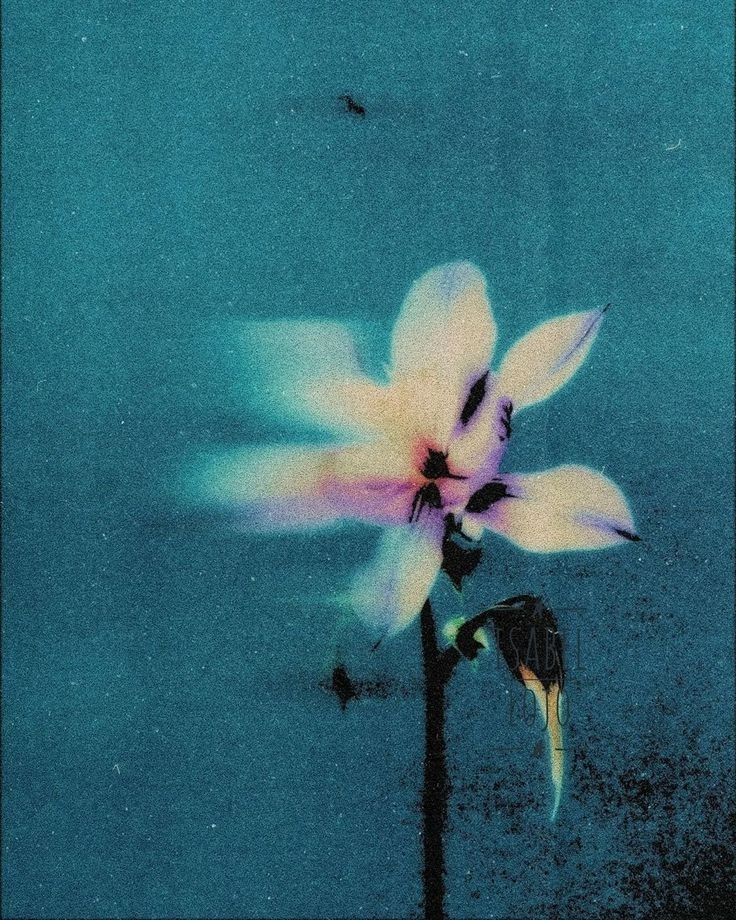 Irene Kiwia tweet media