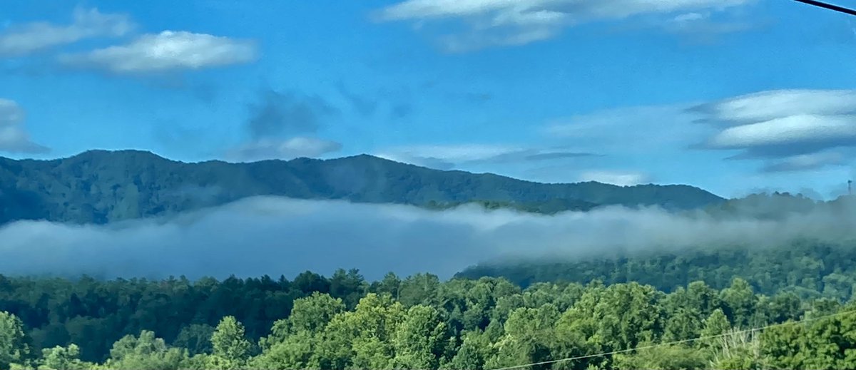 Kattkeith tweet media