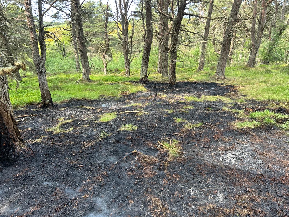 Balintore Fire Station tweet media