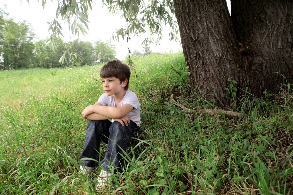 Yerbabuena SAT tweet media