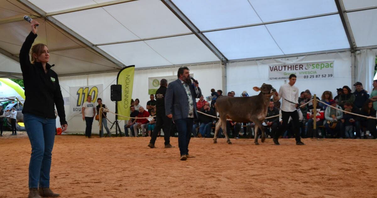 Châtillon-sur-Seine. Vente aux enchères : une année record pour les éleveurs
➡️ l.bienpublic.com/fsu