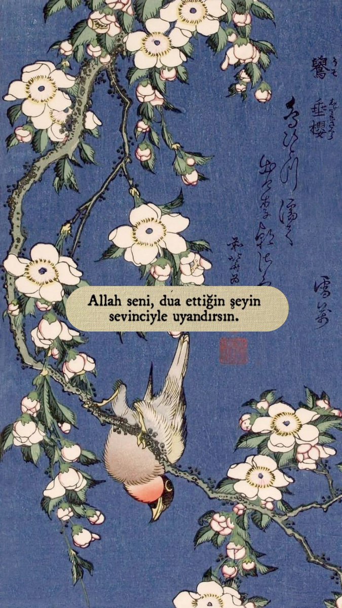 Nevzat YILDIRIM (@yildirim0285) on Twitter photo 