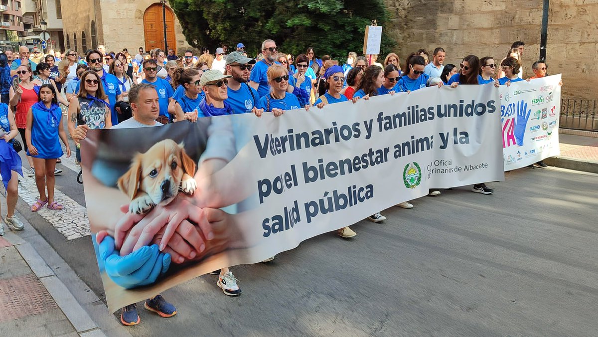 DejandoHuellaAB's tweet photo. Contra una normativa injusta e incomprensible que atenta contra la salud de los animales y la salud pública.

Dejando Huella Albacete se manifiesta junto a los veterinarios contra el RD 666/2023, una normativa que complica la atención veterinaria colmándola de burocracia https://t.co/XeKyaW7QmU