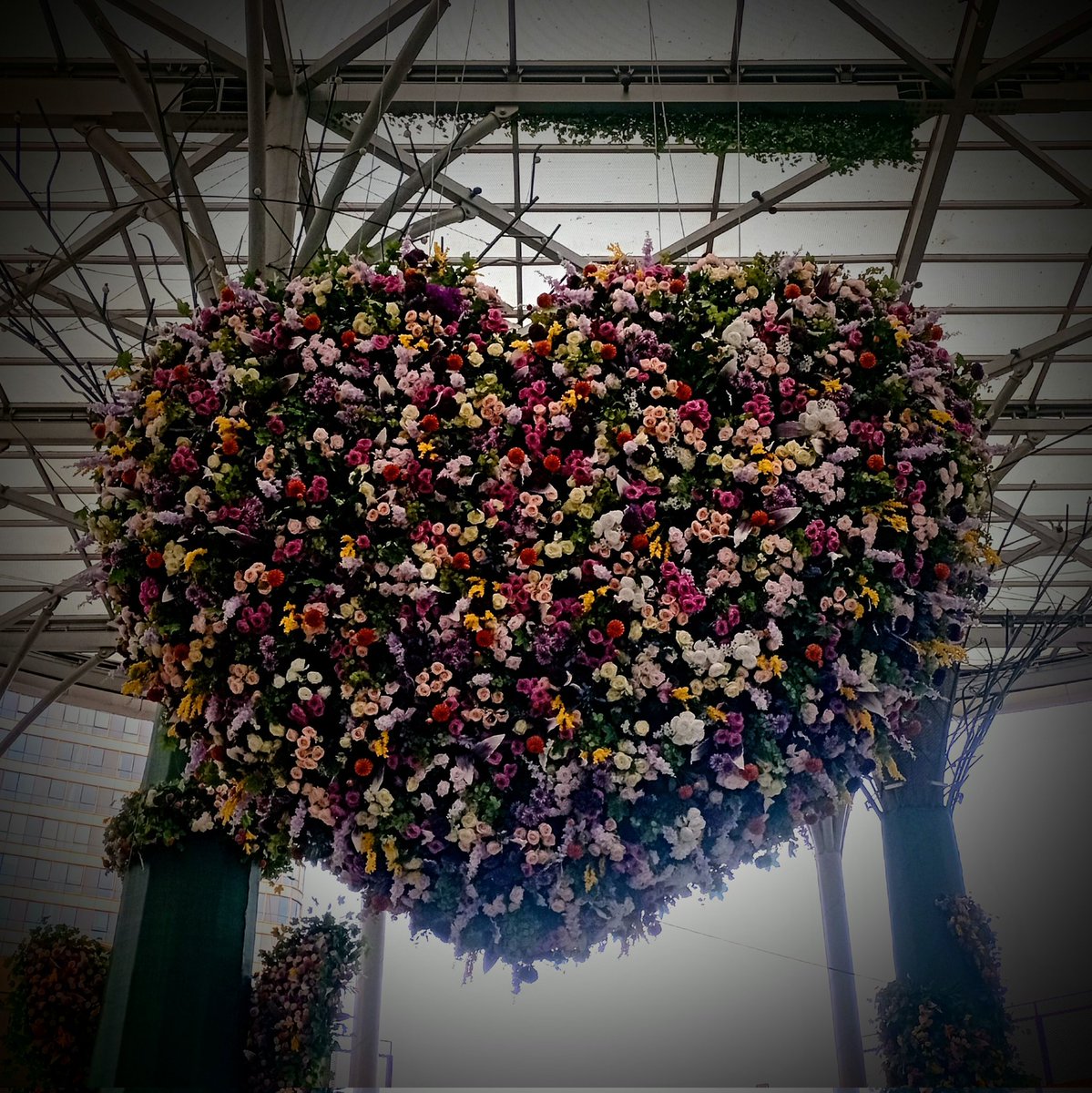 Ateşli kadınlara ve fantezi sevenlere ❤‍🔥🥂
#hotwife #sexywoman #cokload #swingerçift #swingers #bul #akrepburcu #Scorpion