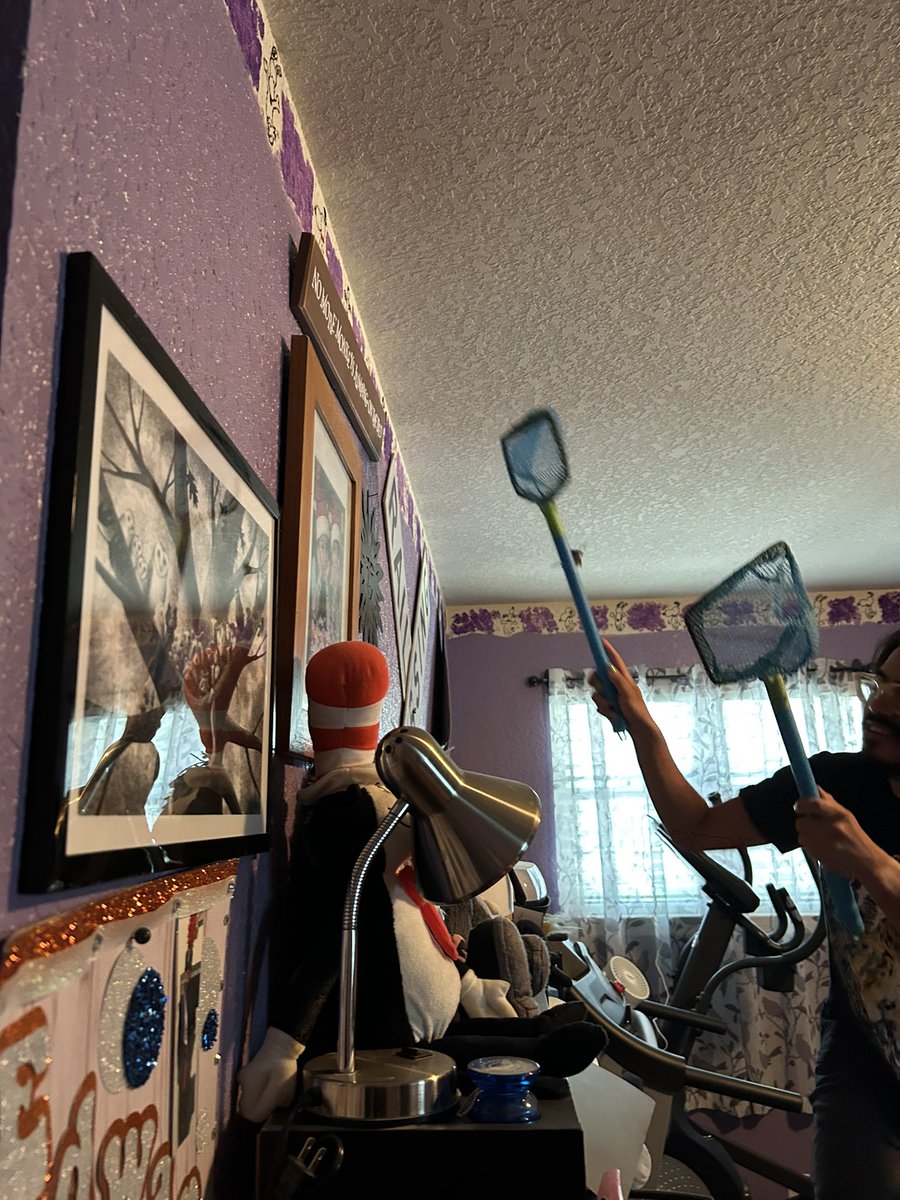 SonnenMartinez's tweet photo. B is for bird. There was a bird in my house. Luckily my son caught it. #somanylaughs #SkyhawkPride #SkyhawkSummer https://t.co/FaKhmWSugu