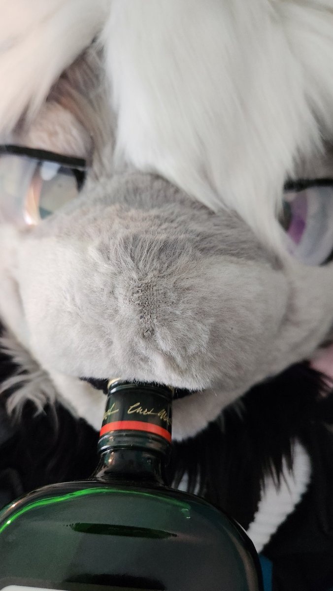 Its my birthday today!! (I am forcing him to drink Jaeger until he dies)