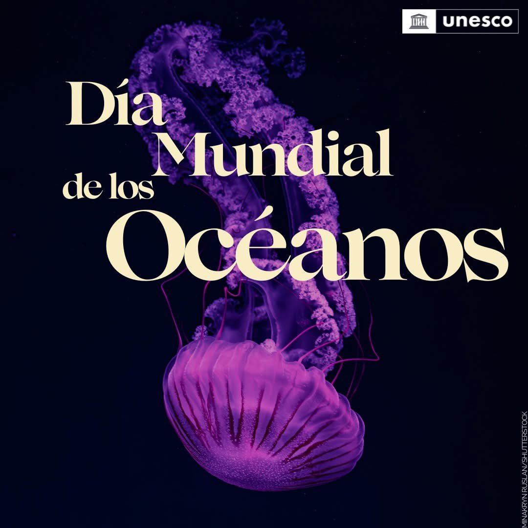 ¡Hoy es el Día Mundial de los Océanos!

El #Océano conecta, sostiene y mantiene la vida. De nosotros depende asumir toda la responsabilidad y hacer lo necesario para #SalvarNuestroOcéano

Cómo hacerlo: unesco.org/es/days/oceans