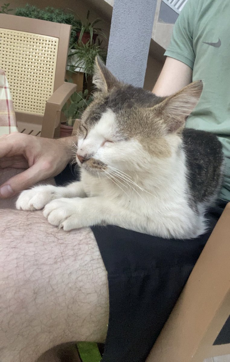 polarizedIovers's tweet image. they grow up so fast 😔