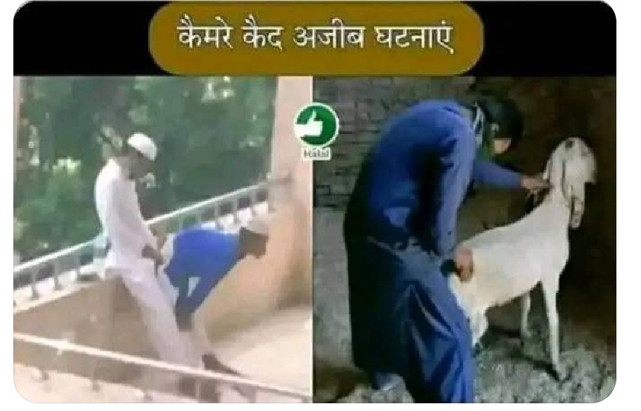 ramkumarti49351's tweet photo. @speaktostar @azizkavish यहां देखो,ये मस्जिद ही है ???? https://t.co/thmGTGwTDm