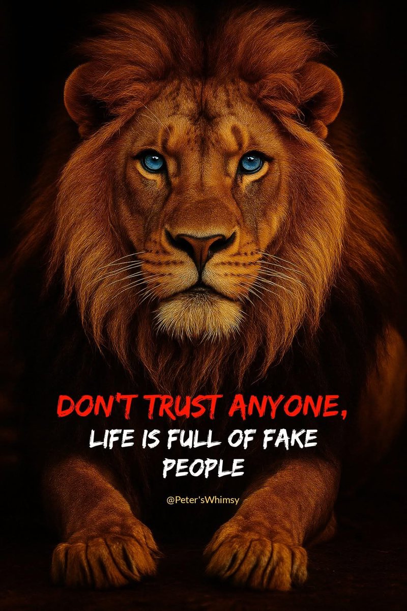 Fly Guy 🇺🇸 tweet media