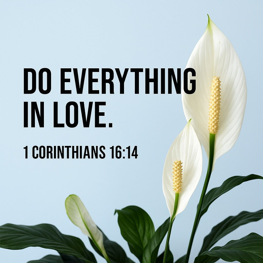 1 Corinthians 16:14