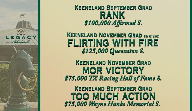 Legacy Bloodstock (@legacybloodstoc) on Twitter photo π« All 5 of our Stakes competitors so far this weekend have earned black type! 
π«Let's keep it going with these 4 #Keeneland September grads running in Stakes today  
ππππ
#LegacyBuilders ππ π« All 5 of our Stakes competitors so far this weekend have earned black type! 
π«Let's keep it going with these 4 #Keeneland September grads running in Stakes today  
ππππ
#LegacyBuilders ππ