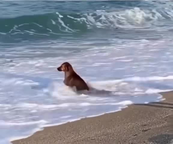 ฉันตอนรู้ว่าวันนี้น้องอ๊ะอายุ20แล้วจริงๆ