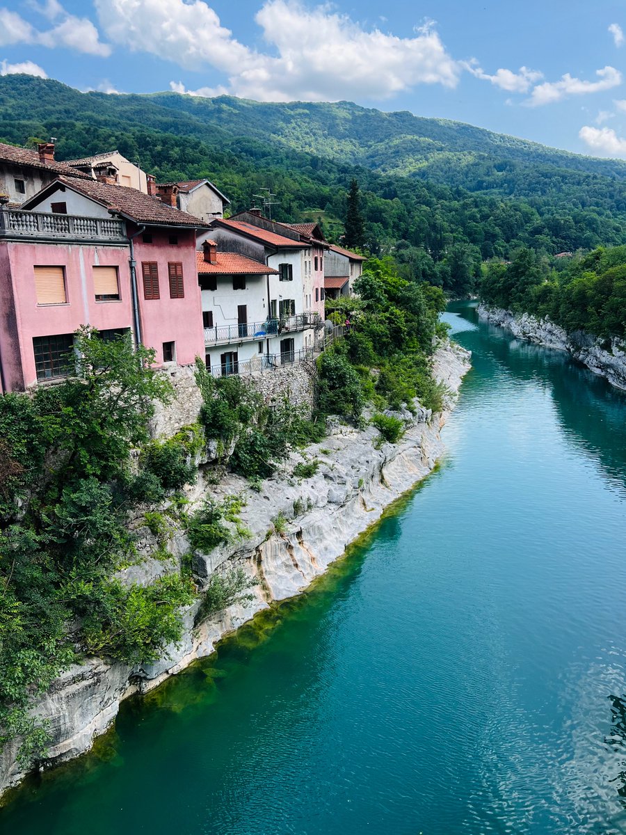 Igor Garybaldi ✨ tweet media