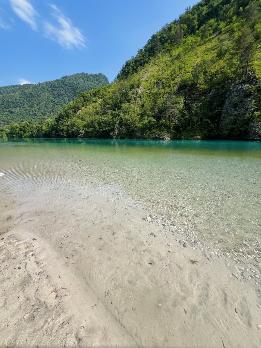 Igor Garybaldi ✨ tweet media