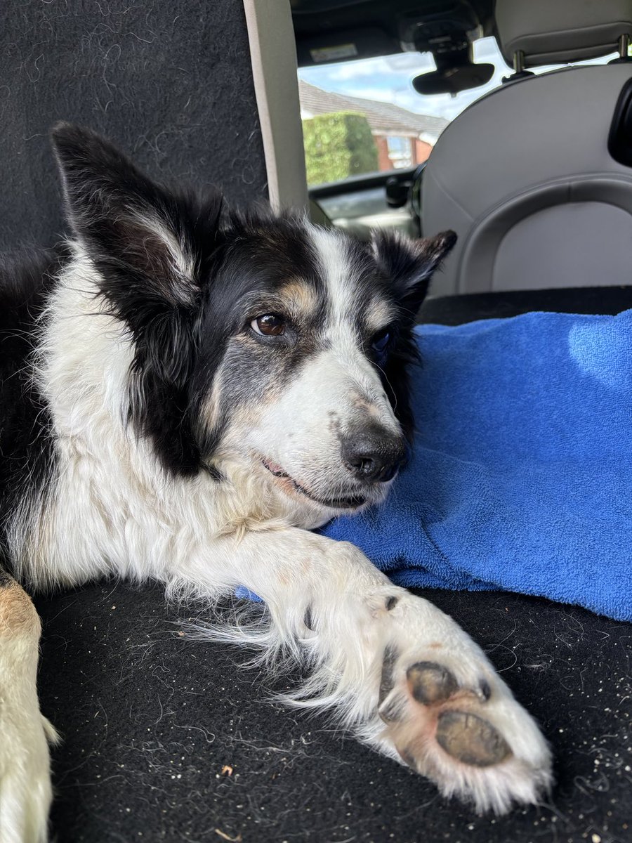 The last photo ever taken of me