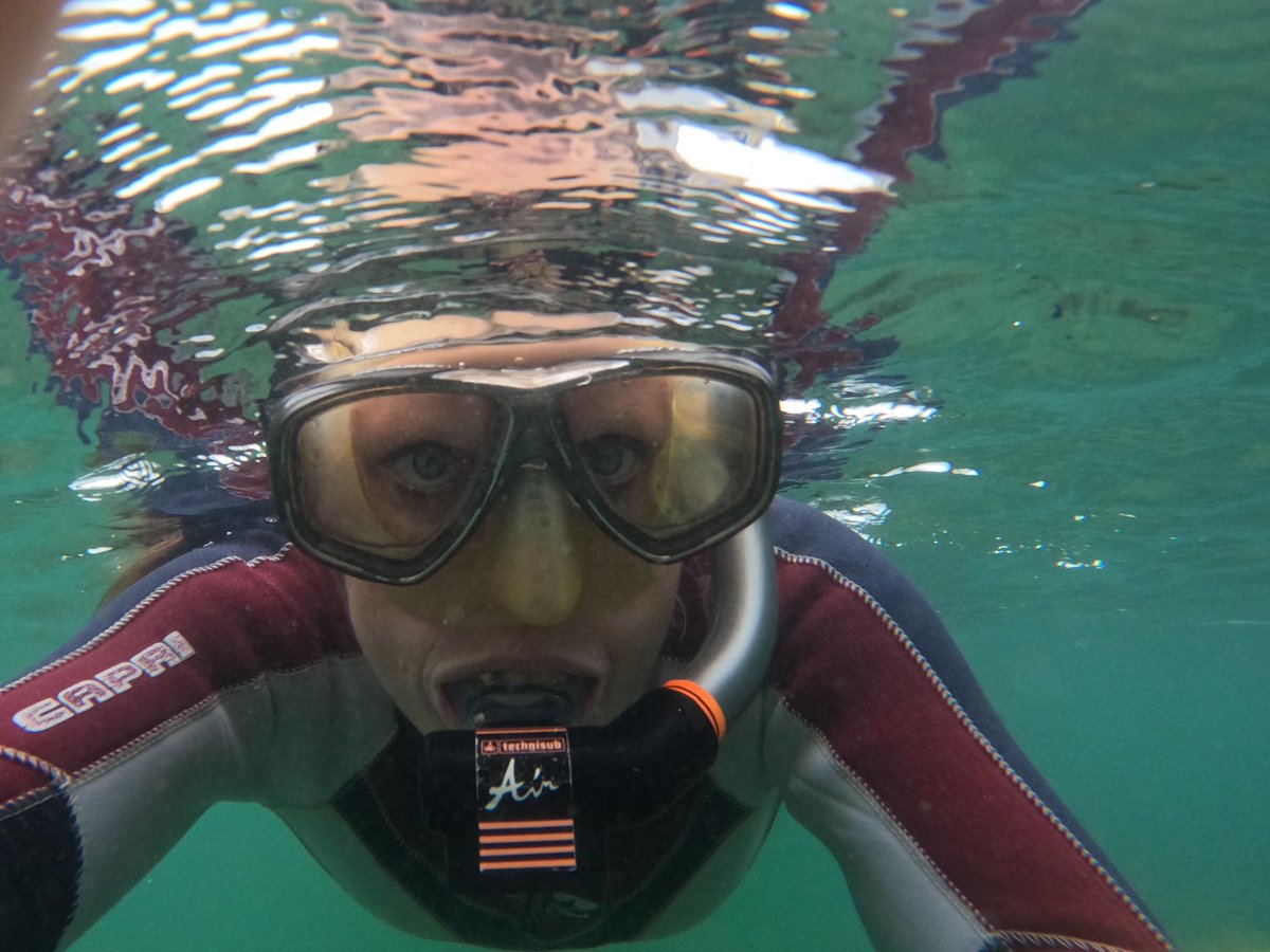 Today is #WorldOceanDay - let’s all commit to action of this years theme “Wonder: Sustaining what sustains us.”

I commit to volunteering with the amazing  @BEEP to learn more about our #eelgrass beds, to ensure it’s long term protection! 

What’s your commitment to the ocean?