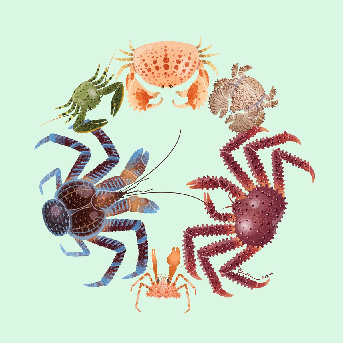 czbugsart's tweet image. Happy World Oceans Day! As a bug person I don’t have a lot of marine themed arts, but for the ones I’ve occasionally done I really enjoyed creating them! Anyone want to see me doing more marine critters?