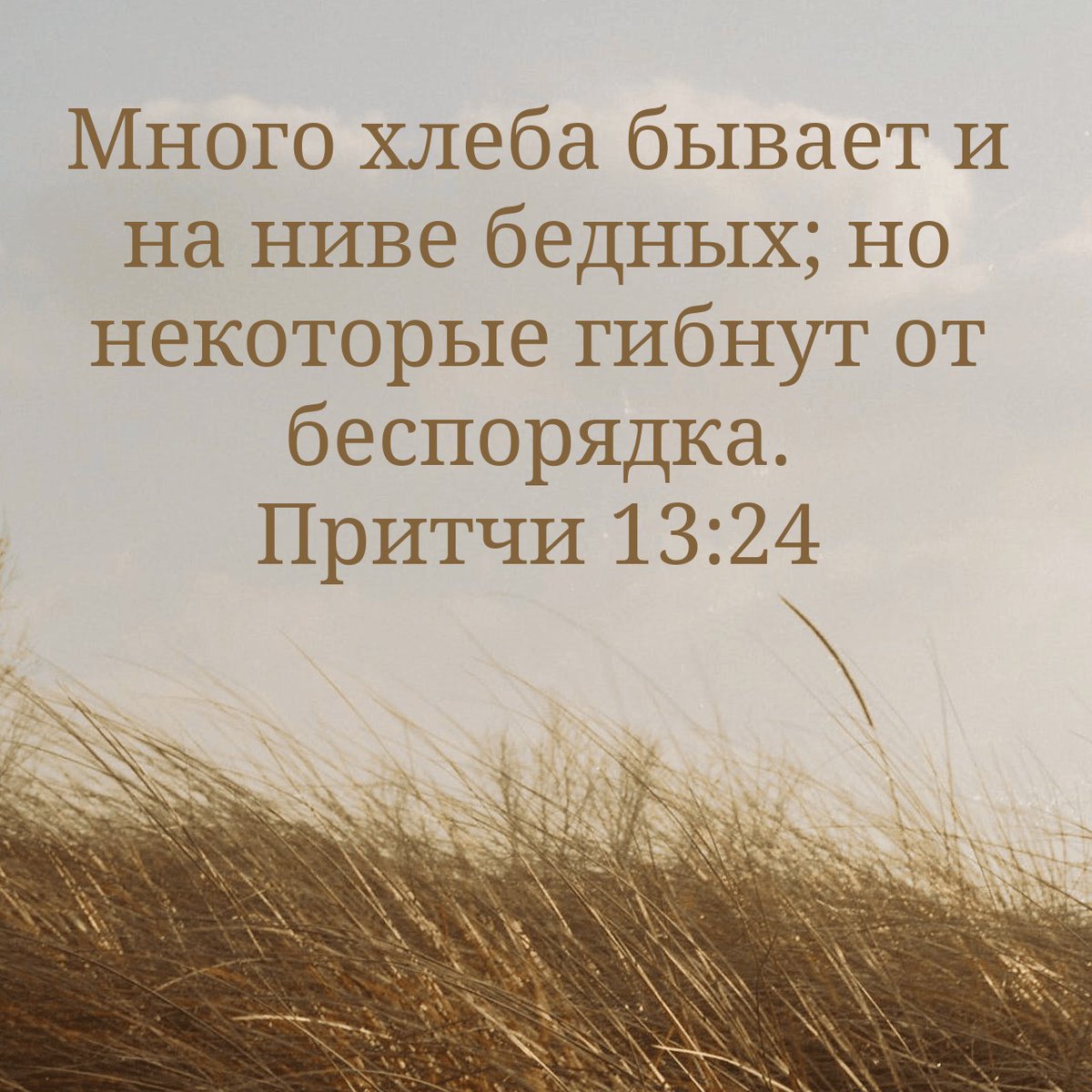 MischenkoRoman's tweet image. Когда #Бог даёт #ресурсы, но они теряются из-за беспорядка, больно не из-за утраты, а из-за небрежности. Не отсутствие вещей ранит, а отсутствие мудрого отношения. #Порядок - не роскошь, а уважение к тому, что уже дано.
Задумался, когда одел &quot;севшую&quot; футболку после стирки 😰