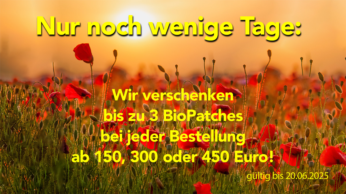 Nicht verpassen: unser Angebot endet bald.