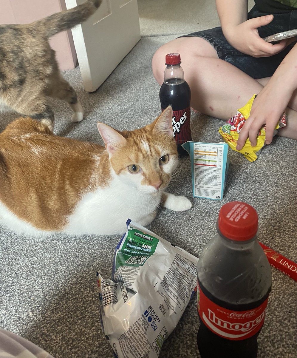 binkywinkywoo's tweet image. hello i want to join you ar picnic pleas