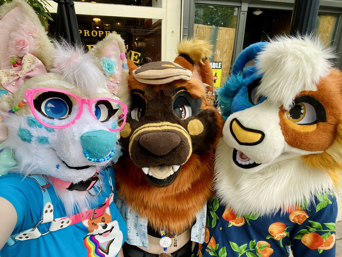 Happy pride 2025 🌈 went to my local parade with my pals and had a great time 💖✨ #ccthecorgi #happypride #furry