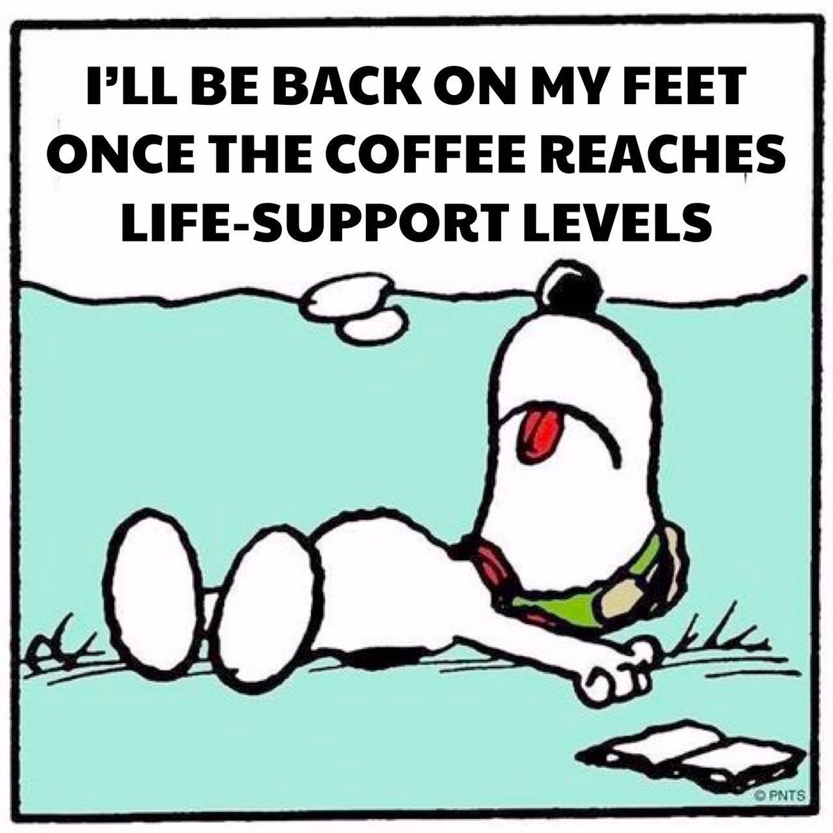 #LaughterIsTheBestICUMedicine: Snoopy: Coffee